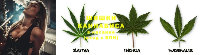 хочу наркоту  Белебей  Канабис THC 21% 